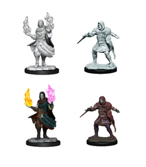 HOLLOW ONE ROGUE/SRCR MALE